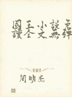 国王小说免费阅读全文无弹窗封面