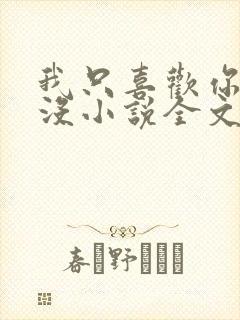 我只喜欢你的人没小说全文免费阅读封面