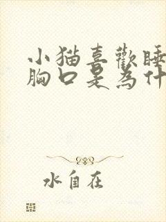 小猫喜欢睡主人胸口是为什么