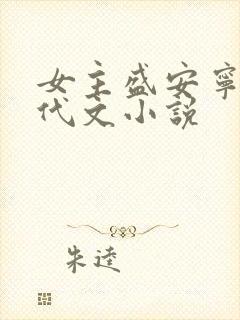 女主盛安宁的年代文小说