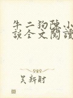 牛二狗陈小燕小说全文阅读