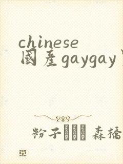 chinese国产gaygay男男网站封面