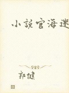 小说官海迷途