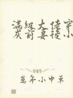 满级大佬穿成炮灰前妻后小说封面