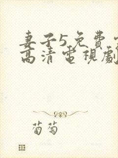 妻子5免费完整高清电视剧在线观看古