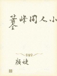 萧峰同人小说大全封面