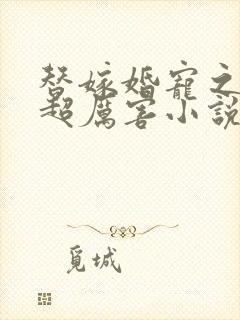 替嫁婚宠之总裁超厉害小说封面