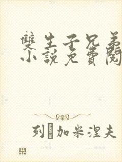 双生子兄弟共感小说免费阅读