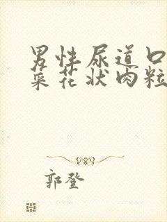 男性尿道口长出菜花状肉粒