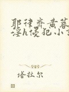 耶律齐黄蓉之乱淫h侵犯小说