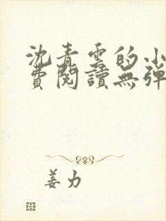 沈青云的小说免费阅读无弹窗