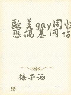 欧美gay同性恋搞基网站封面
