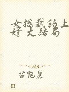 女总裁的上门女婿 大结局