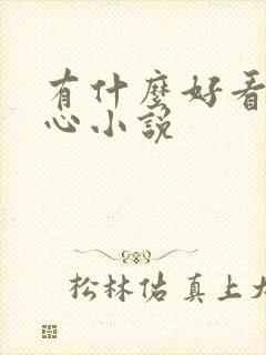 有什么好看的虐心小说