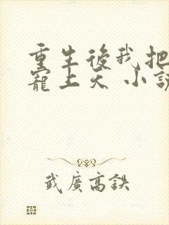 重生后我把前夫宠上天 小说