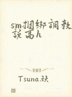 sm捆绑调教小说高h封面