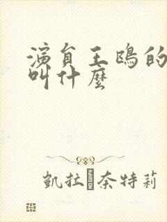 演员王鸥的丈夫叫什么