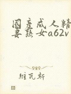 国产成人精品人妻熟女a62v久久