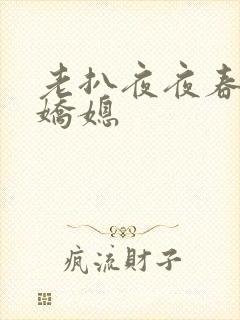 老扒夜夜春宵伴娇媳