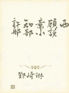 许知意顾西洲是哪部小说