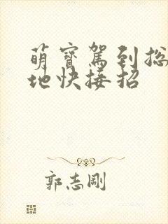 萌宝驾到总裁爹地快接招