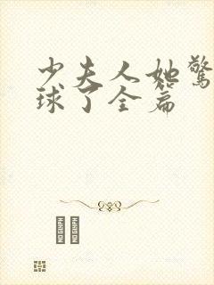 少夫人她惊艳全球了全篇