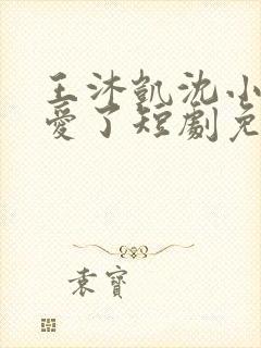 王沐凯沈小姐不爱了短剧免费播放