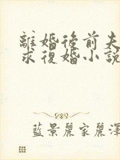 离婚后前夫哭着求复婚小说全文阅读