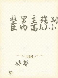 双男主强制爱(巨肉高h)小说