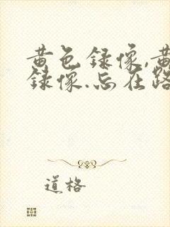 黄色录像,黄色录像.忘在路上黄色录像.