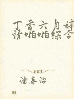 丁香六月婷婷激情啪啪综合