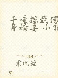 千亿总裁独宠替身娇妻 小说完整封面