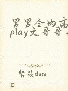 男男全肉高h湿play文哥哥弟弟封面