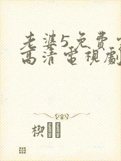 老婆5免费完整高清电视剧在线