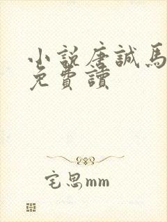 小说唐诚马玉婷免费读