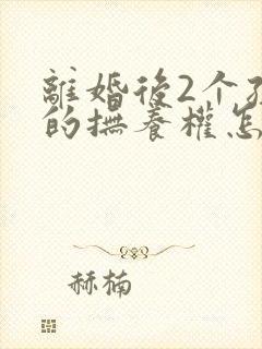 离婚后2个孩子的抚养权怎么判定呢