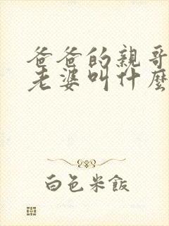 爸爸的亲哥哥的老婆叫什么称呼