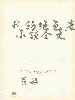 我的绝色老板娘 小说全文封面