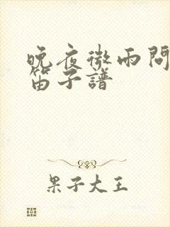 晚夜微雨问海棠笛子谱