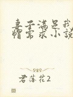 妻子满足我的绿帽需求小说封面