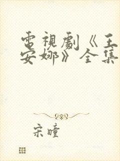 电视剧《王贵与安娜》全集免费观看封面