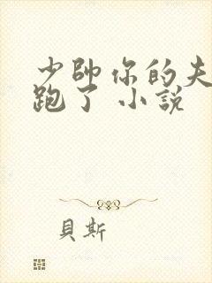 少帅你的夫人又跑了 小说