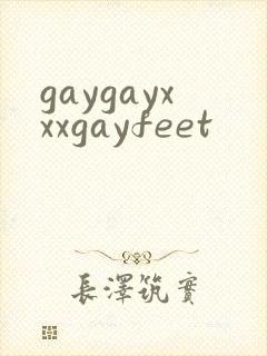 gaygayxxxgayfeet封面