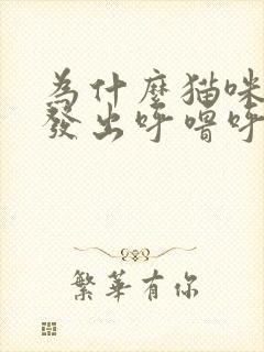 为什么猫咪一直发出呼噜呼噜的声音