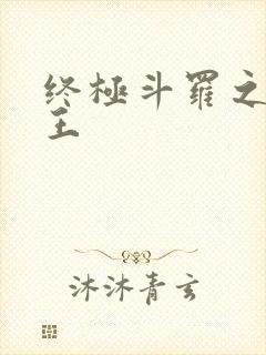 终极斗罗之灵龙王