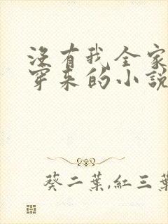 没有我全家都是穿来的小说封面