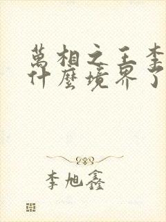 万相之王李洛到什么境界了