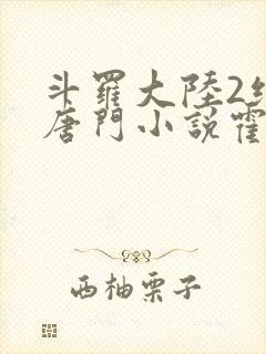 斗罗大陆2绝世唐门小说霍雨浩封面