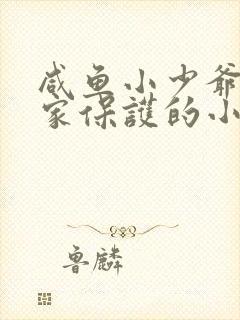 咸鱼小少爷被国家保护的小说