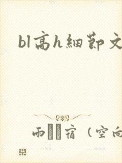 bl高h细节文